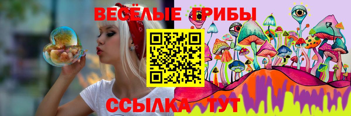 Псилоцибиновые грибы мицелий  Вход с VPN  Тара 